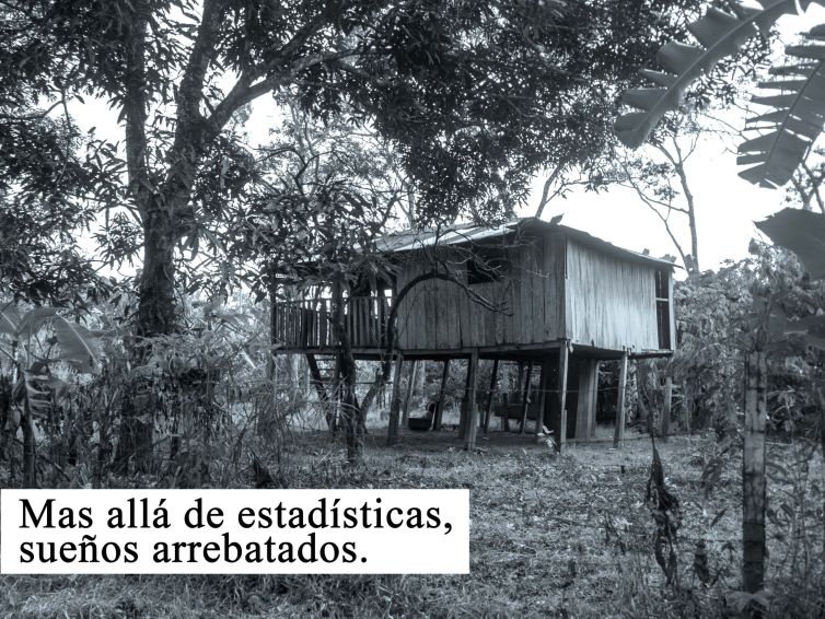 Relatos del río-Hojas de esperanza-San José (6)