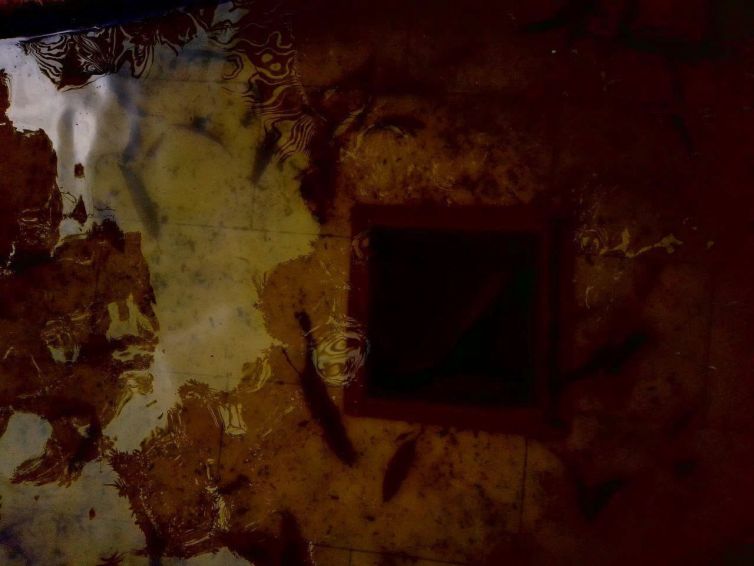 Historias de esperanza-Gr ECOLENS- San José (2)