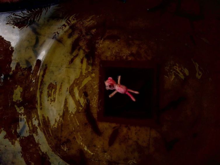 Historias de esperanza-Gr ECOLENS- San José (7)