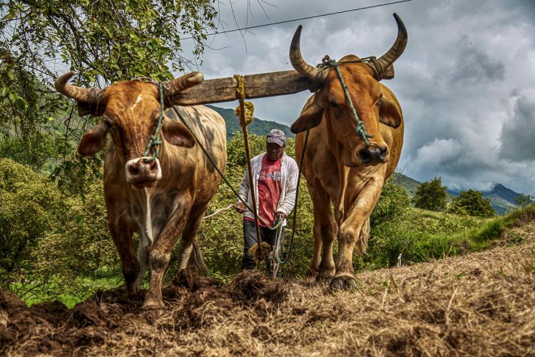 Expo-Cuba-Colectivo-Miradas-13