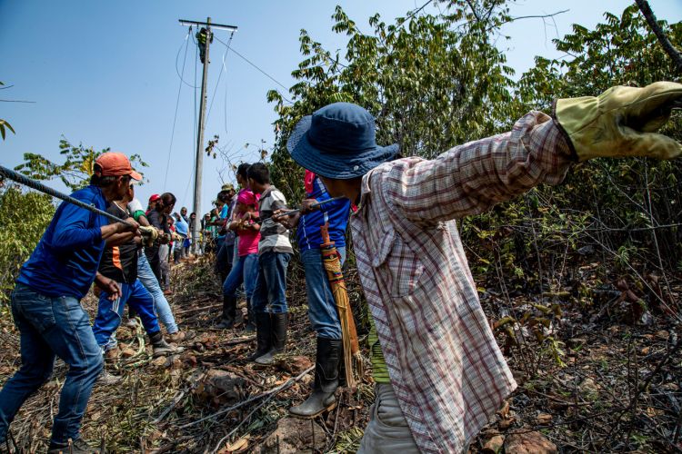 Expo-Cuba-Colectivo-Miradas-15