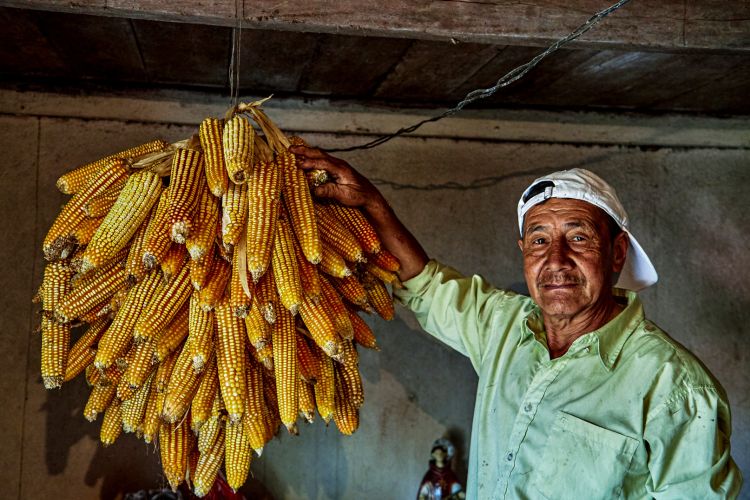 Expo-Cuba-Colectivo-Miradas-6