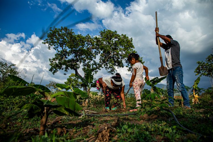 Expo-Cuba-Colectivo-Miradas-7