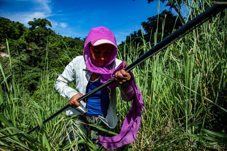 Expo-Cuba-Colectivo-Miradas-9