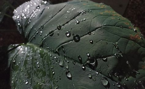 Exposición fotográfica La paz es el camino España