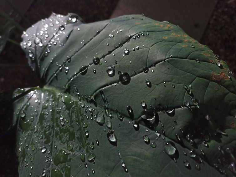 Exposición fotográfica La paz es el camino España