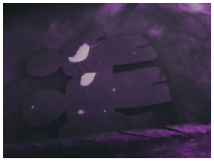 Memorias-del-Silencio--Gr-Retina-Ritual--San-José-(11)