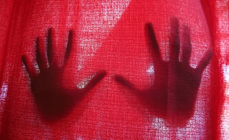 Semillero de paz Tumaco