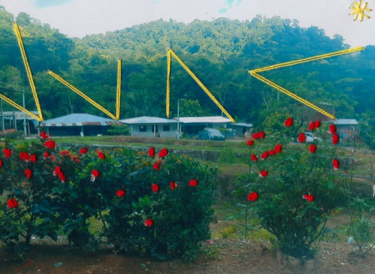 10_Mirelis-Durango-Torres_San-José-de-León