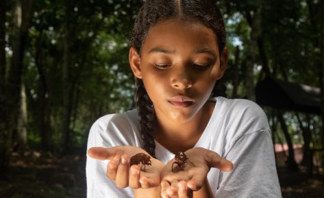 Semillero de paz Tierra Grata