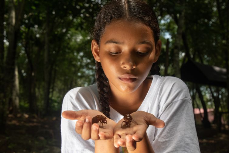 Semillero de paz Tierra Grata