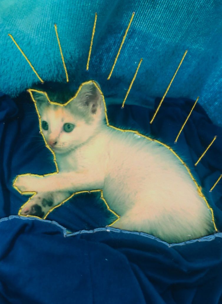 8_Juana-Valentina-usuga-David_San-José-de-León