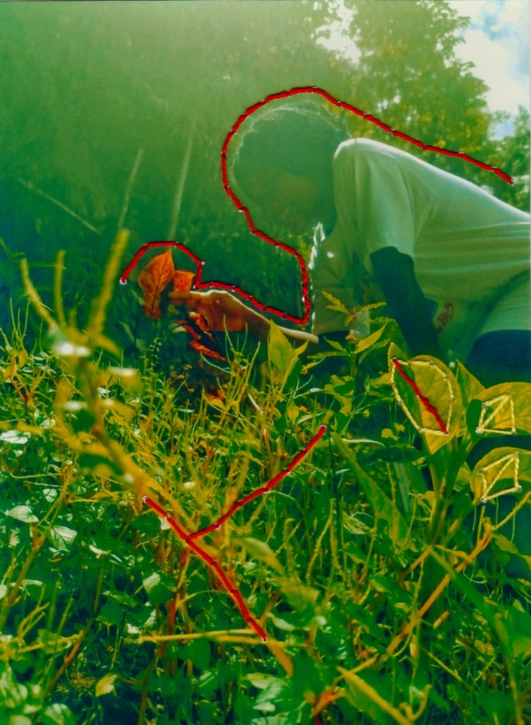 9_Mayerly-Villas-Torres_San-José-de-León