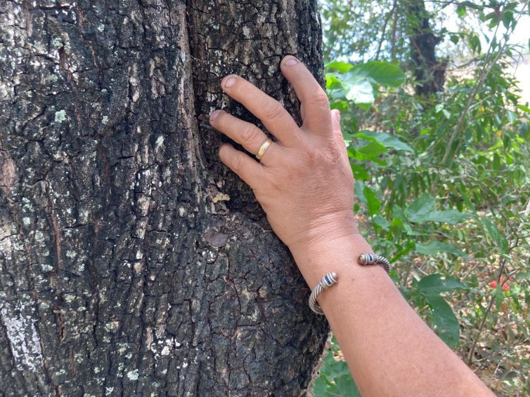 El Rastro (Buscando a Cuncia) 9